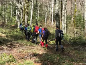 Jak zorganizować udany wyjazd firmowy z noclegiem i atrakcjami? 